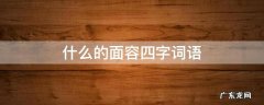 什么的面容四字词语