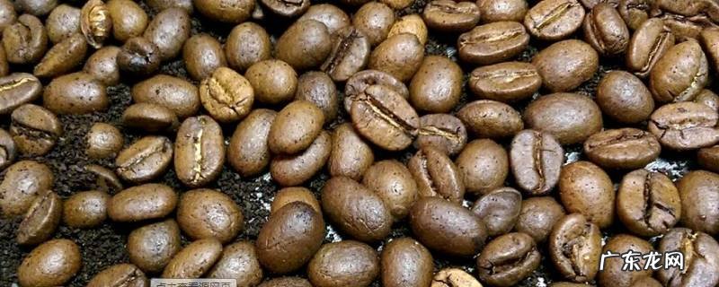 可可豆怎么做成巧克力,可可豆制作巧克力方法及材料
