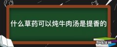 什么草药可以炖牛肉汤是提香的
