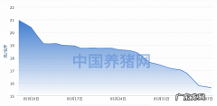 今年猪价格生猪价格走势,看完这个你就知道了!