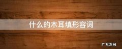 什么的木耳填形容词