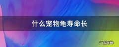 什么宠物龟寿命长