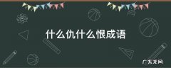 什么仇什么恨成语