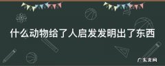什么动物给了人启发发明出了东西