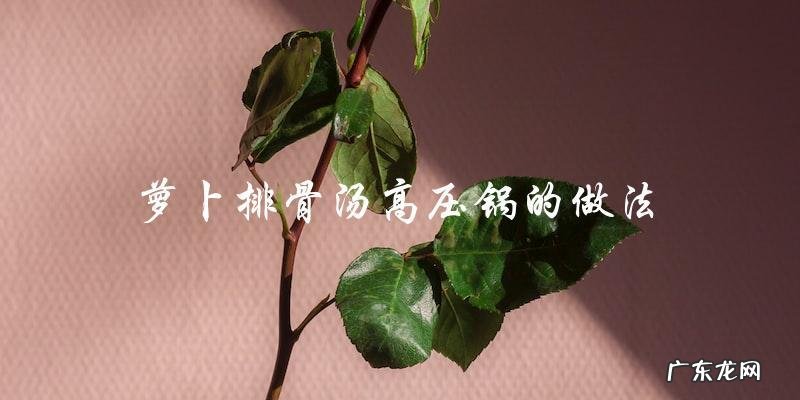 萝卜排骨汤高压锅的做法