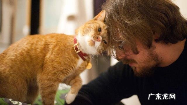 说明是个资深猫奴 这猫是懂暗示的