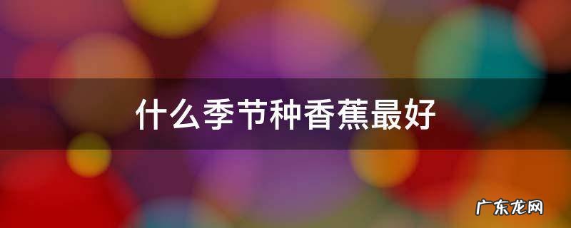 什么季节种香蕉最好