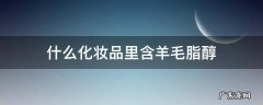 什么化妆品里含羊毛脂醇
