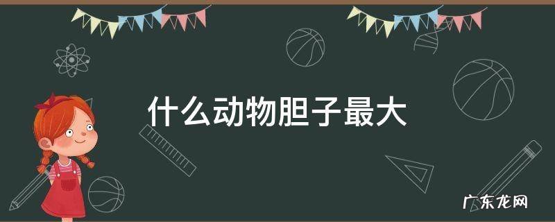 什么动物胆子最大