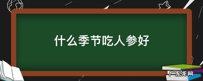 什么季节吃人参好