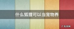 什么狐狸可以当宠物养