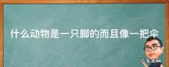 什么动物是一只脚的而且像一把伞
