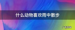 什么动物喜欢雨中散步