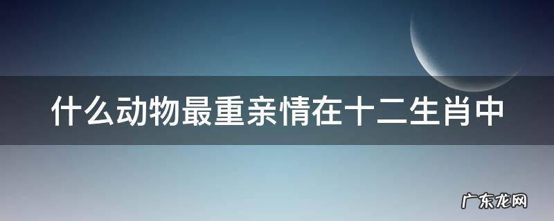 什么动物最重亲情在十二生肖中