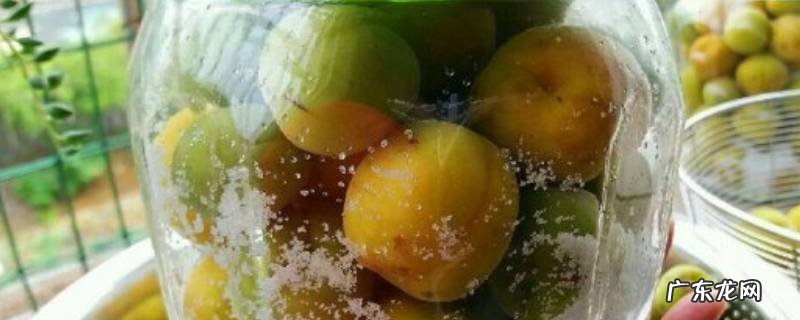 腌酸梅的做法 怎么做 如何做,腌制酸梅的做法