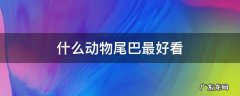 什么动物尾巴最好看