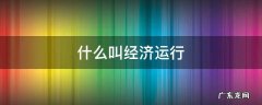 什么叫经济运行