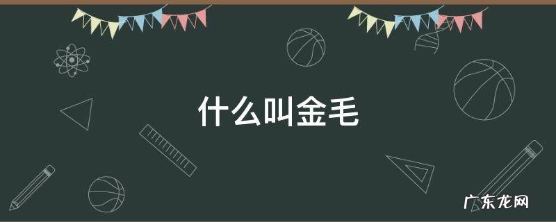 什么叫金毛