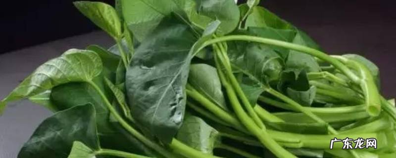 空心菜煮多久合适,空心菜多久能煮熟