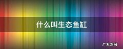 什么叫生态鱼缸