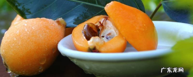 枇杷如何保存时间更久的方法和技巧,枇杷怎么保存时间最长