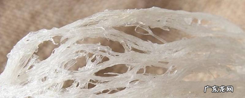 燕窝用温水泡多久,燕窝用温水泡多久合适