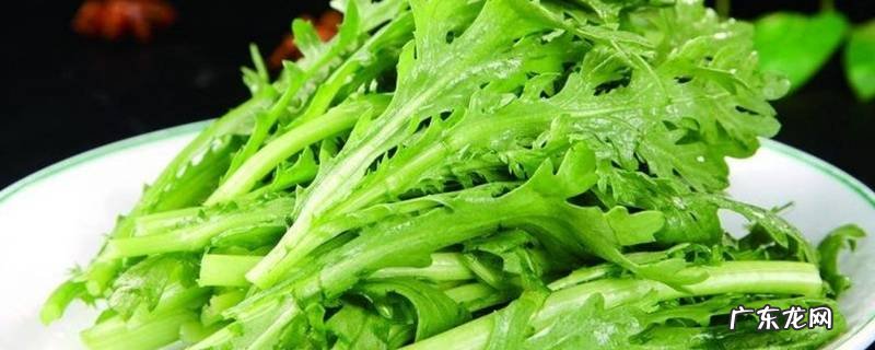 茼蒿开花了还能吃吗,蒿菜开花了能吃吗