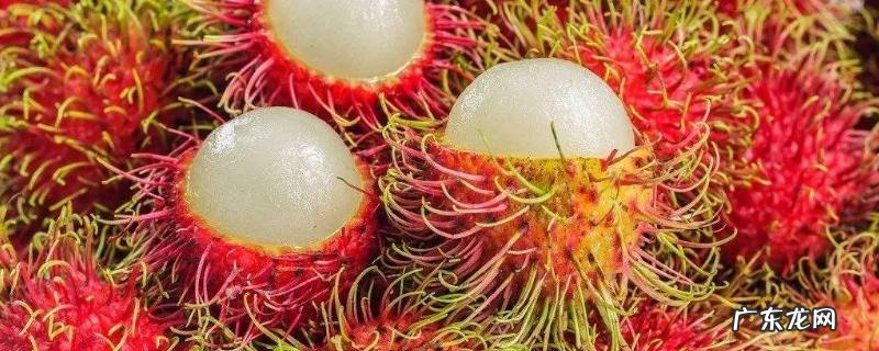 红毛丹的核可以吃吗,怎样吃红毛丹才不会吃到里面的核