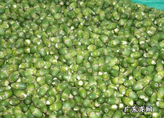 槟榔怎么吃要吐出来吗 槟榔怎么吃
