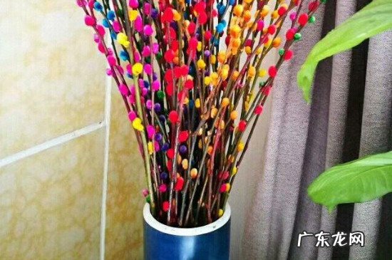 银柳该怎么养 干支银柳怎么养