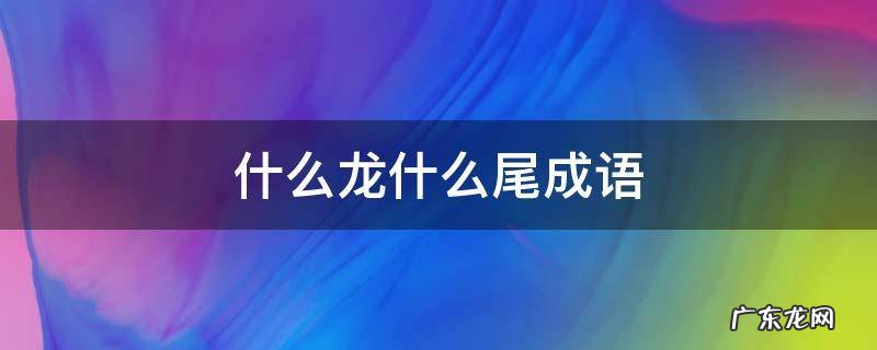 什么龙什么尾成语