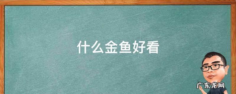 什么金鱼好看