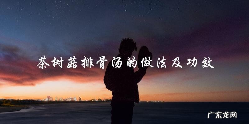 茶树菇排骨汤:做法简单,功效多多!