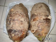槟榔芋适合哪些地方种植 槟榔芋的养殖方法
