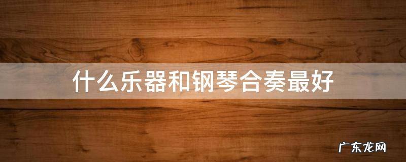 什么乐器和钢琴合奏最好