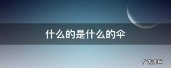 什么的是什么的伞