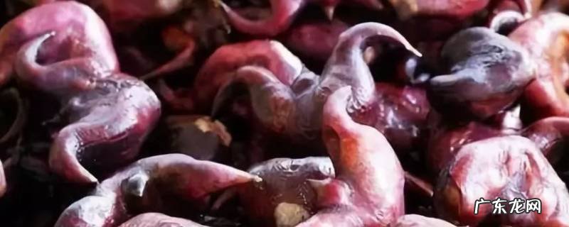 菱角可以直接生吃吗,菱角可以生吃吗?