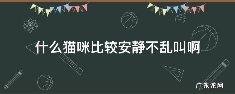什么猫咪比较安静不乱叫啊