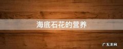 海底石花的营养,海底石花草