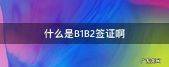 什么是B1B2签证啊