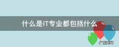 什么是IT专业都包括什么