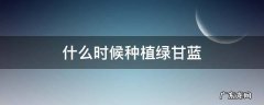 什么时候种植绿甘蓝