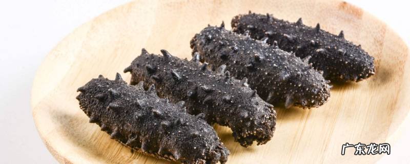 海参的泡发方法具体步骤窍门,海参怎么泡发 方法