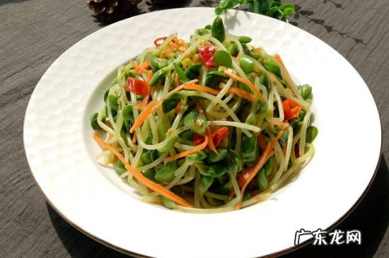 豆苗是寒性还是热性 豆苗是凉性还是热性