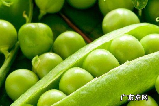 豌豆尖买回来需要择吗 豌豆尖怎么择