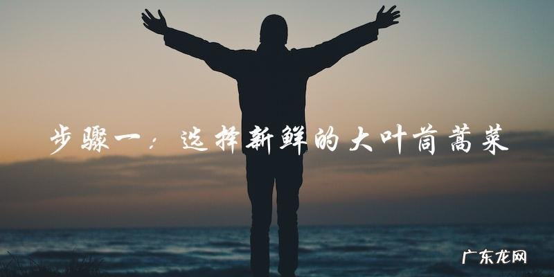 大叶茼蒿菜的制作窍门,让你轻松做出美味佳肴!