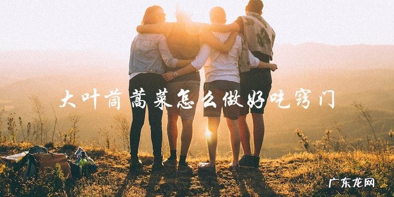 大叶茼蒿菜的制作窍门,让你轻松做出美味佳肴!