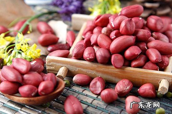 花生怎么沤肥,可以直接埋土里吗 花生米埋土可做肥料吗