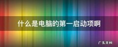 什么是电脑的第一启动项啊