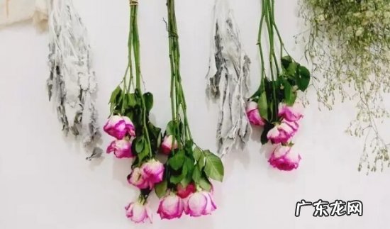 哪些花可以做干花不变色 哪些花可以做干花